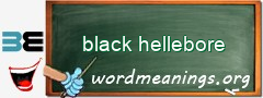 WordMeaning blackboard for black hellebore